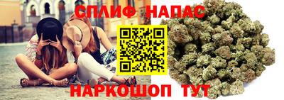 марки nbome Сланцы