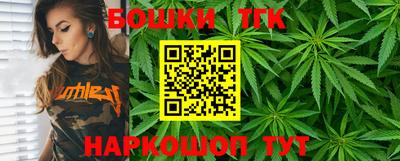МДПВ Славгород
