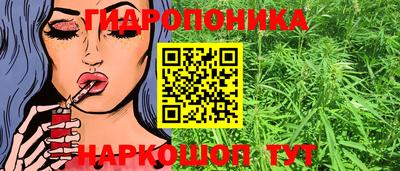 МДПВ Славгород