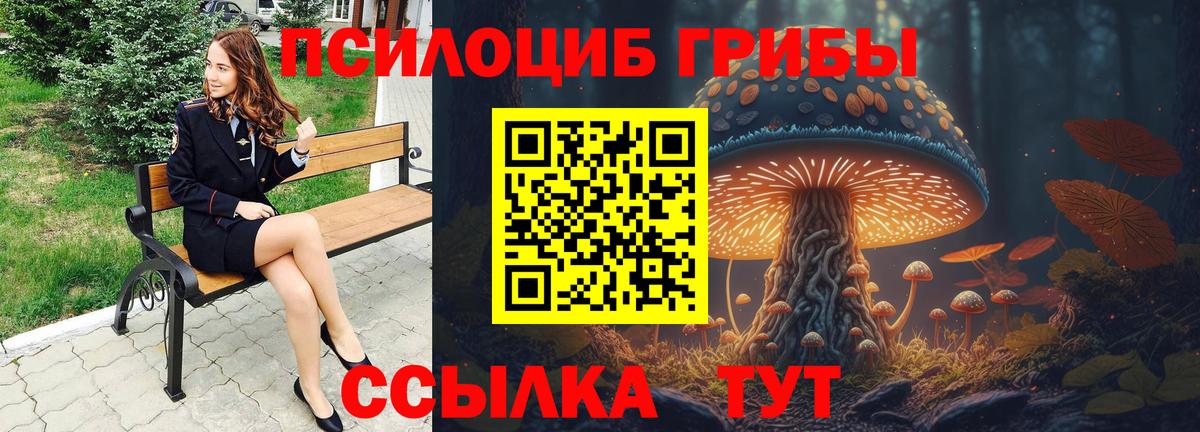 Новочеркасск  Галлюциногенные грибы MAGIC MUSHROOMS  Вход с VPN  Псилоцибиновые грибы Psilocybe 