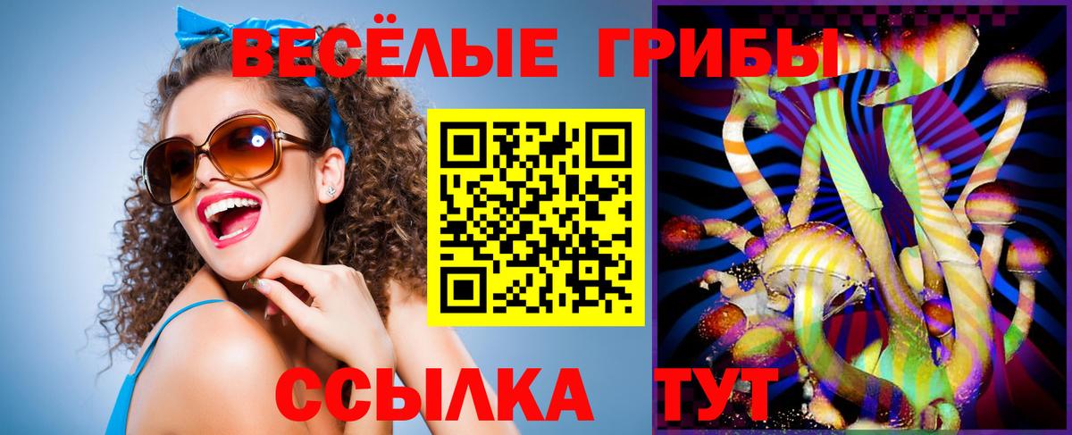 Галлюциногенные грибы Psilocybe Новочеркасск